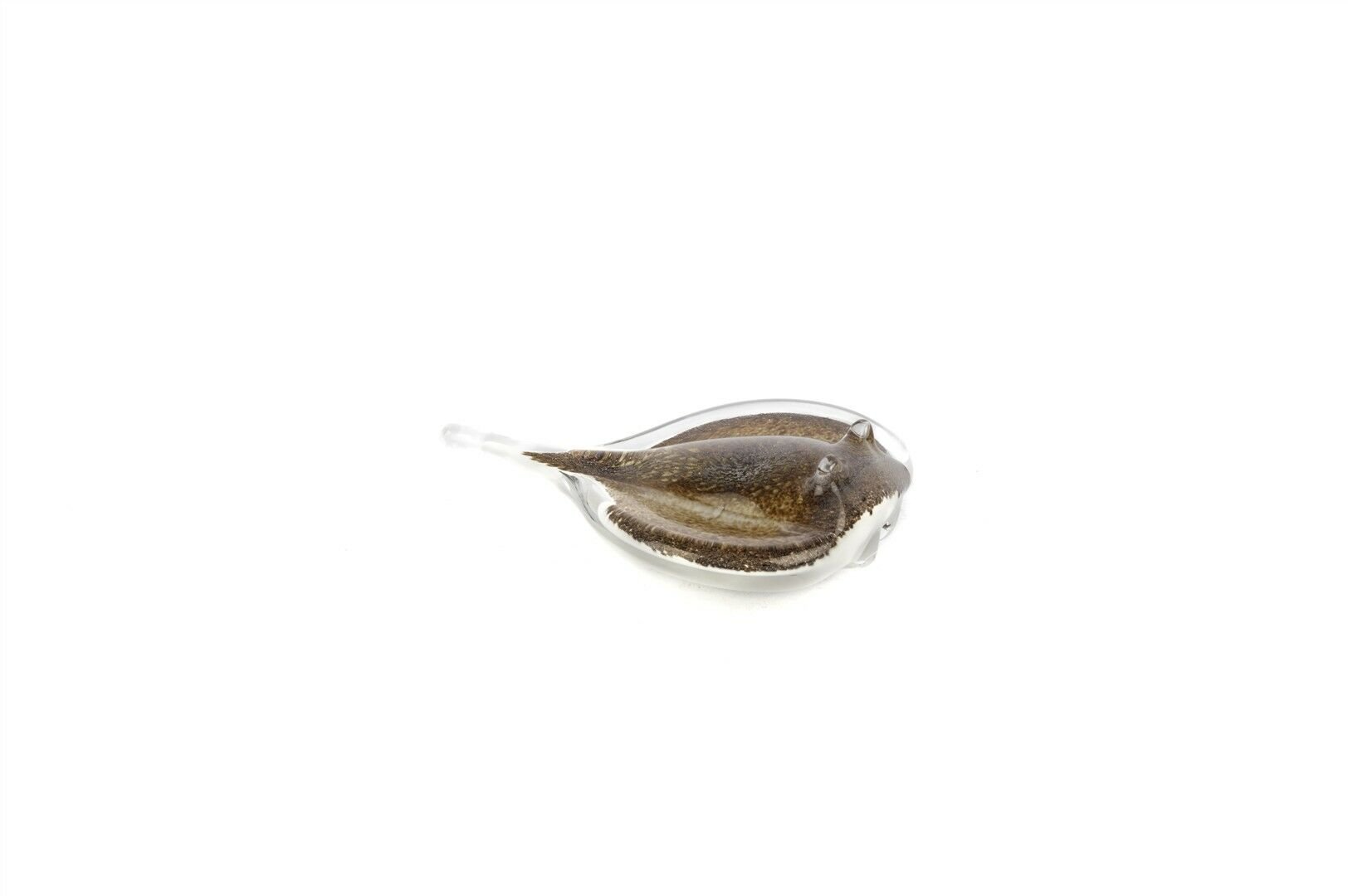 Vatoz Balık Cam Dek Obje 15x12x5cm