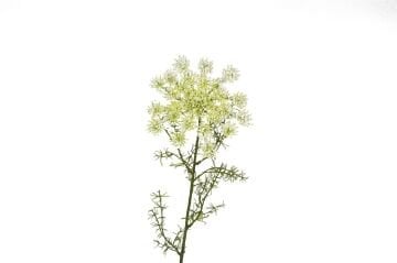 Beyaz Pıtırcık Yapay Çiçek 70cm