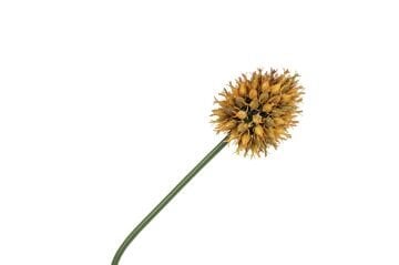 Turuncu Yapay Soğan Çiçeği 68cm
