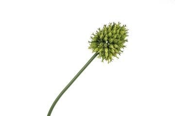 Yeşil Yapay Soğan Çiçeği 68cm
