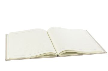 Palm Defter 30x22x2cm