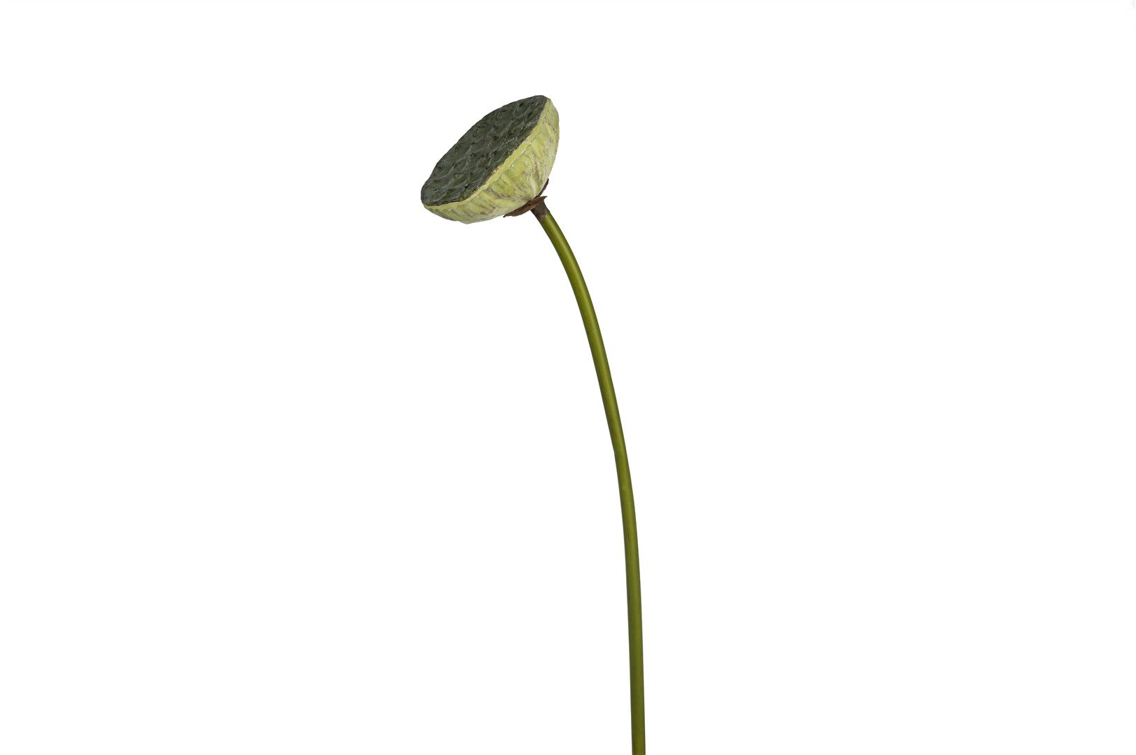 Lotus Tomurcukları Yapay Çiçek 76cm