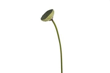 Lotus Tomurcukları Yapay Çiçek 76cm