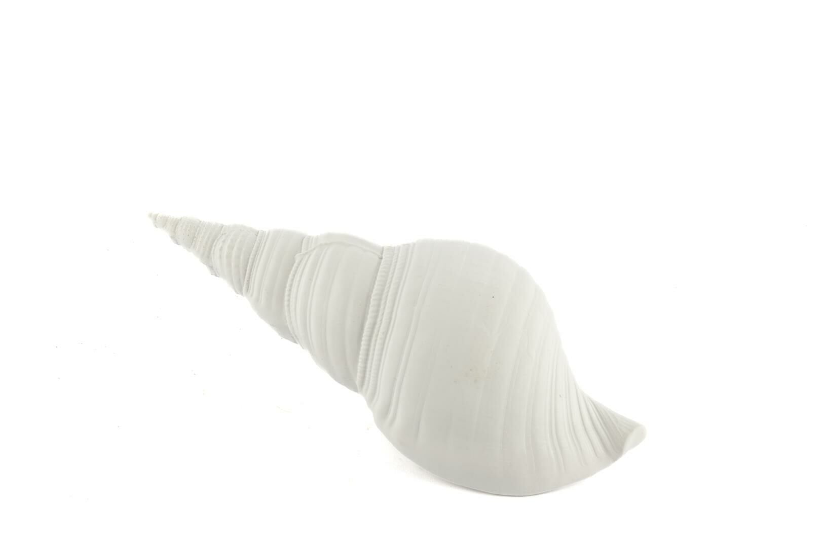 Beyaz Deniz Kabuğu 21x7cm