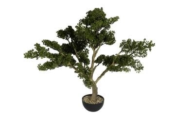 Pinus Yapay Bonsai Ağaç 112x113cm