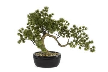 Pinus Yapay Bonsai Ağaç 40x30cm