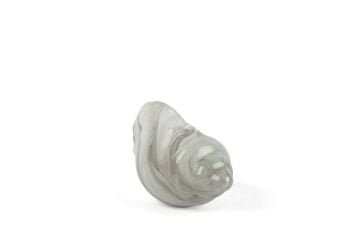 Alba Glass Dek Deniz Kabuğu 10x22x14cm