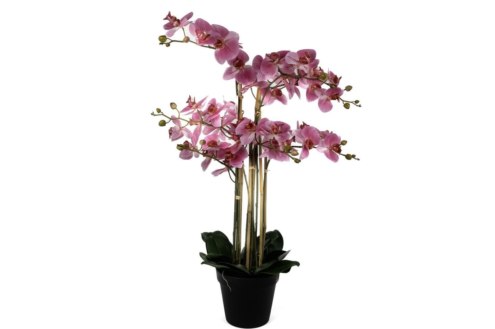 Pebme 8li Yapay Orkide 110cm