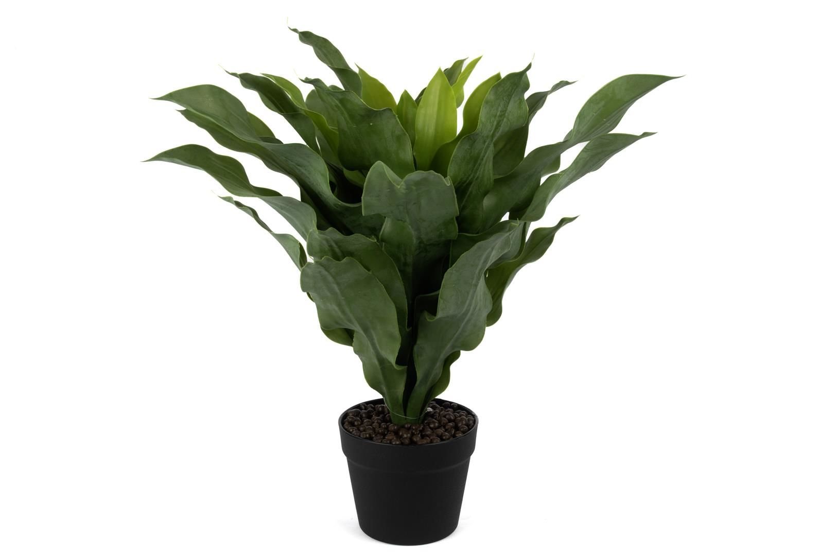 Brazilwood Yapay Çiçek 60cm