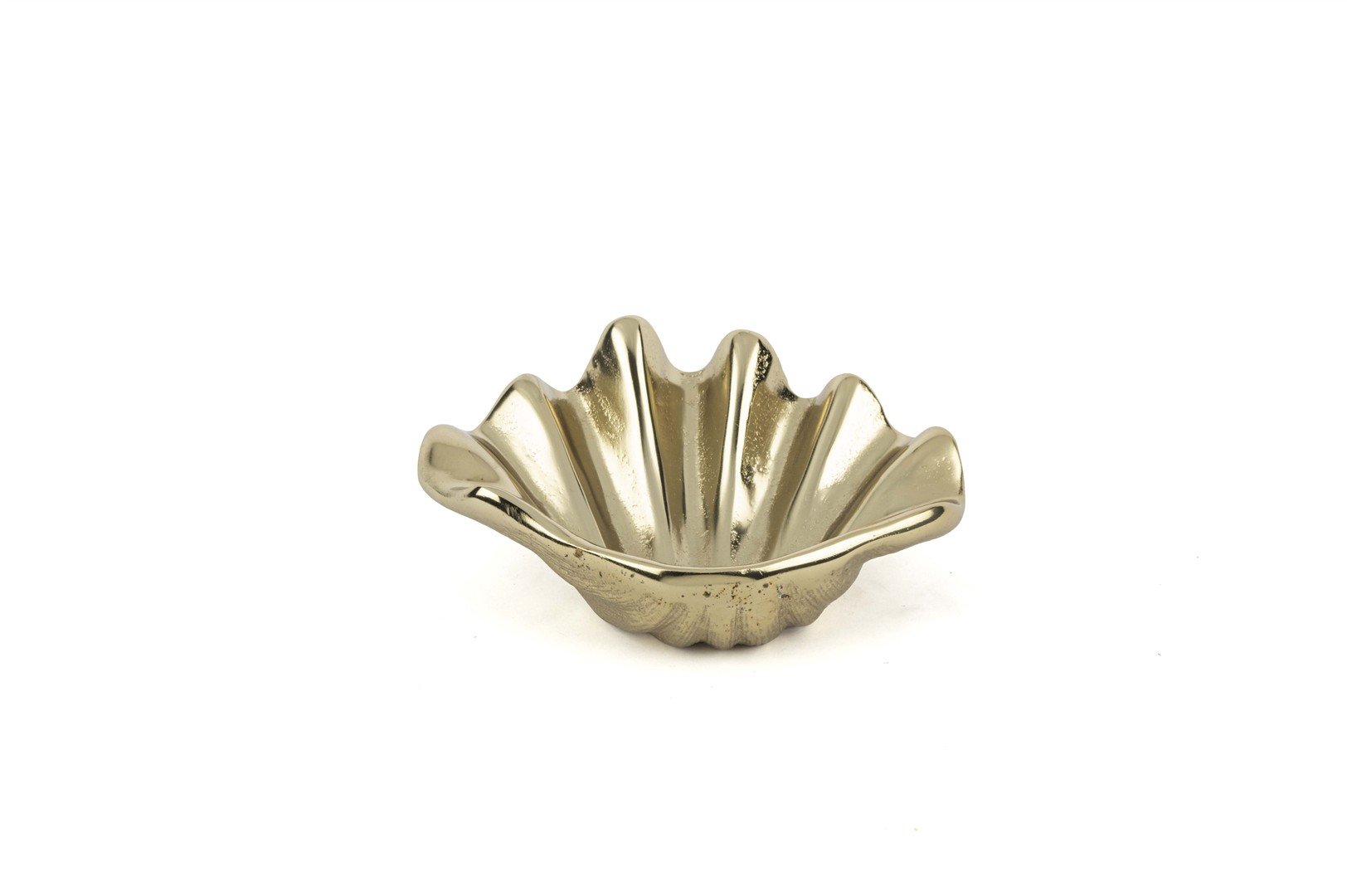Antik Gold Parlak Kabuk Kase 19x8cm
