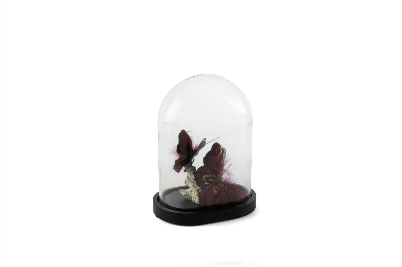 Bordo Kelebekli Cam Fanus 17x12x23cm