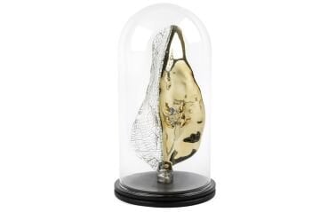 Gold Kristal Yaprak Kurbağa Fanus 42x22cm