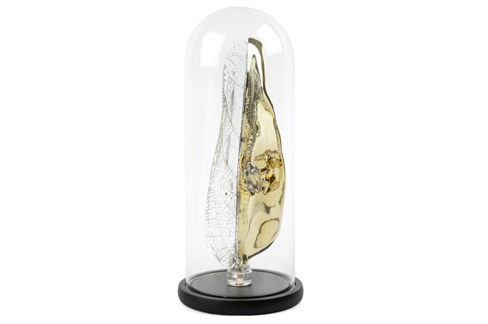 Gold Kristal Yaprak Kurbağa Fanus 41x16cm