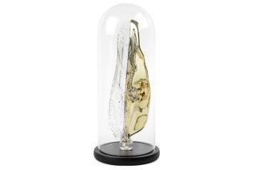 Gold Kristal Yaprak Kurbağa Fanus 41x16cm