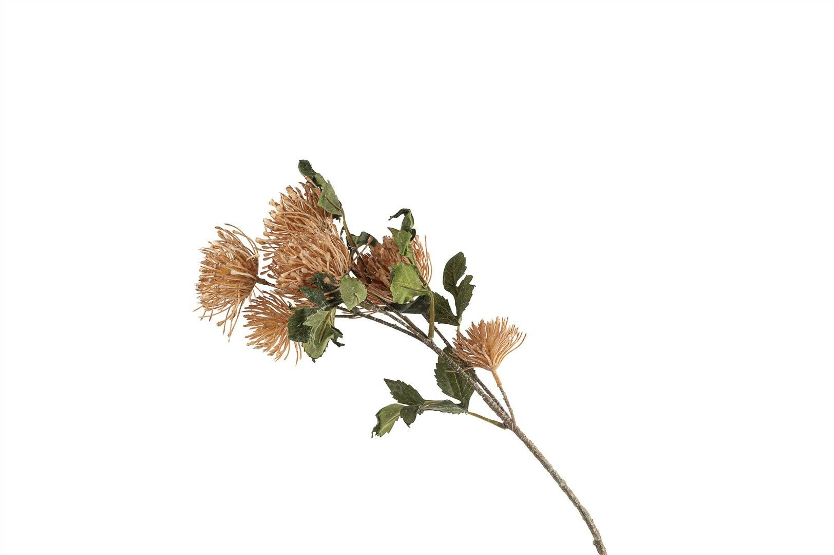 Leucospermum Somon Yapay Çiçek 75cm